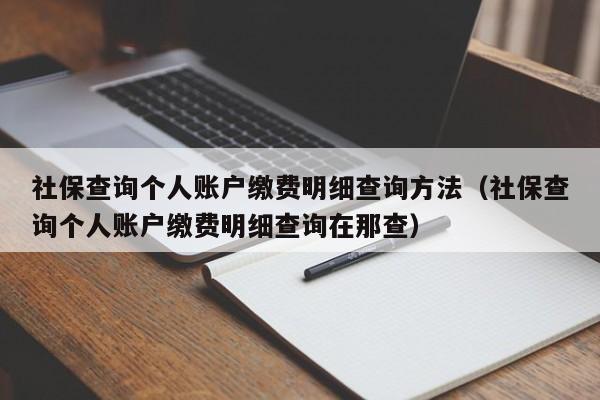 社保查询个人账户缴费明细查询方法（社保查询个人账户缴费明细查询在那查）