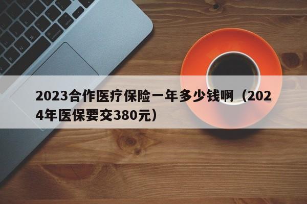 2023合作医疗保险一年多少钱啊（2024年医保要交380元）