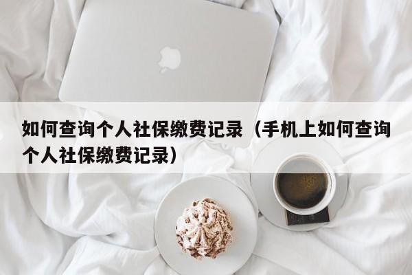 如何查询个人社保缴费记录（手机上如何查询个人社保缴费记录）