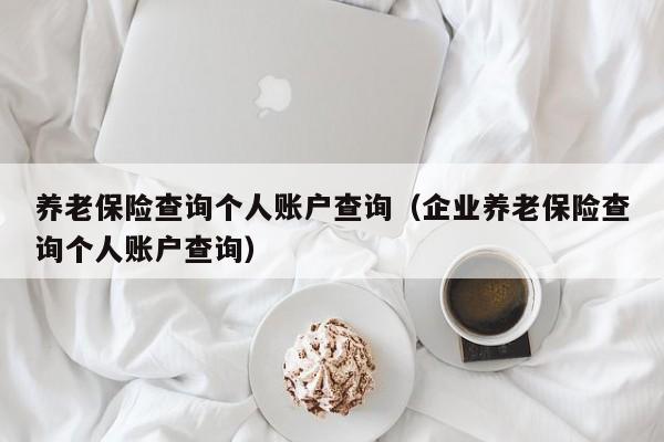 养老保险查询个人账户查询（企业养老保险查询个人账户查询）