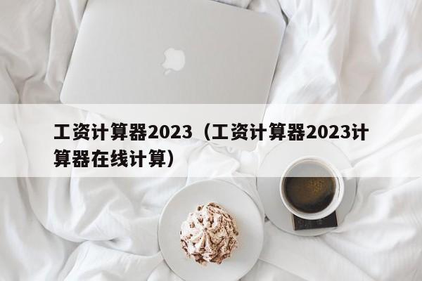 工资计算器2023（工资计算器2023计算器在线计算）