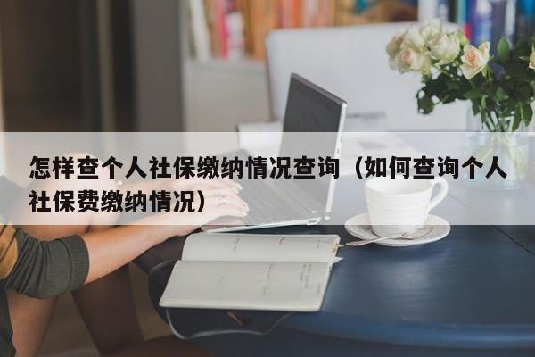 怎样查个人社保缴纳情况查询（如何查询个人社保费缴纳情况）