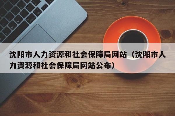 沈阳市人力资源和社会保障局网站（沈阳市人力资源和社会保障局网站公布）