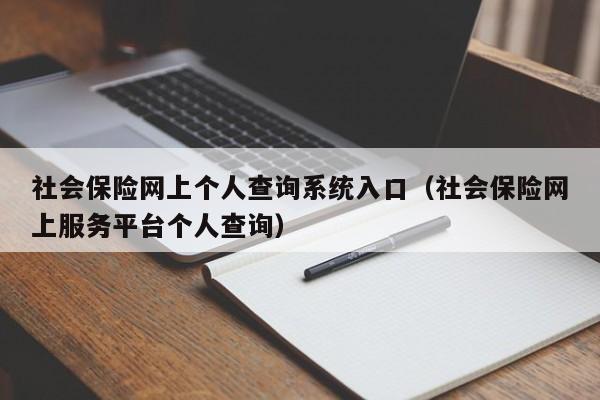 社会保险网上个人查询系统入口（社会保险网上服务平台个人查询）