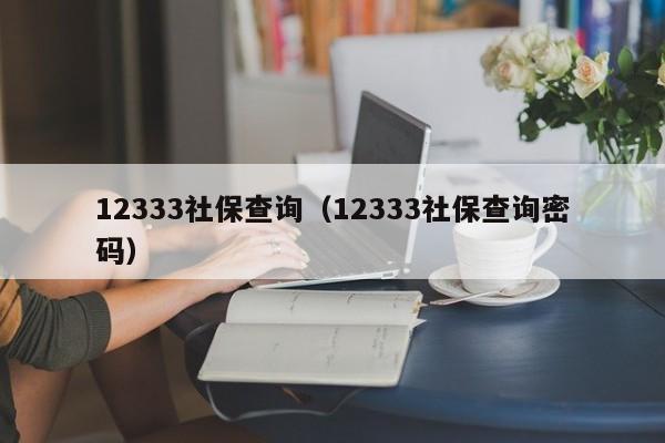 12333社保查询（12333社保查询密码）