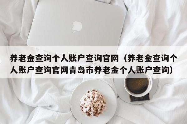 养老金查询个人账户查询官网（养老金查询个人账户查询官网青岛市养老金个人账户查询）