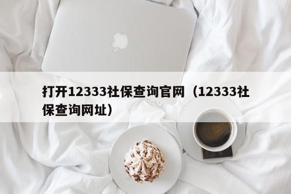 打开12333社保查询官网（12333社保查询网址）