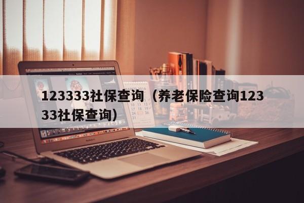 123333社保查询（养老保险查询12333社保查询）