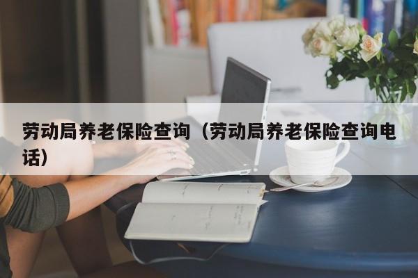 劳动局养老保险查询（劳动局养老保险查询电话）