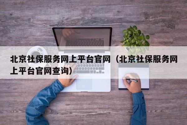 北京社保服务网上平台官网（北京社保服务网上平台官网查询）