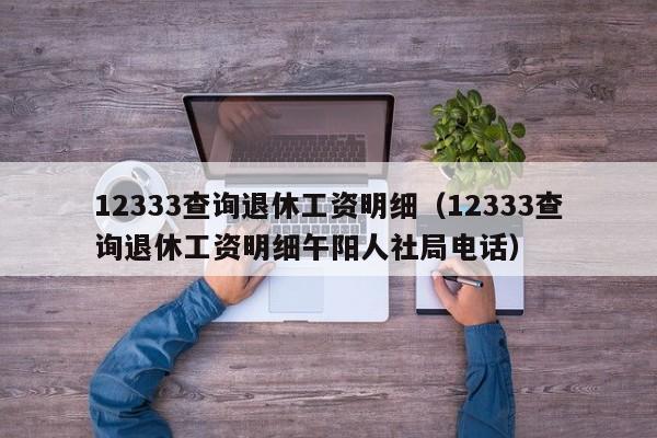 12333查询退休工资明细（12333查询退休工资明细午阳人社局电话）