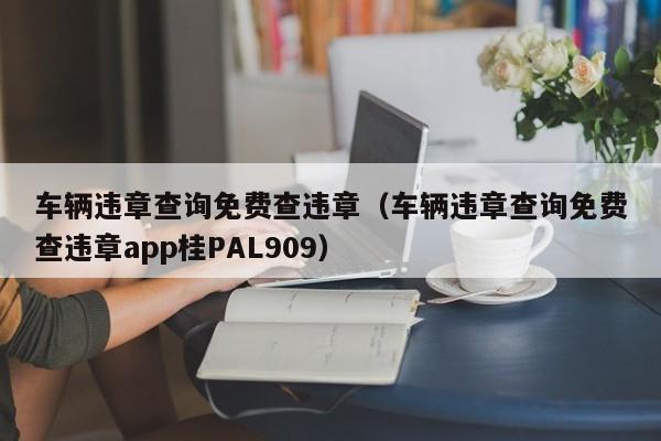 车辆违章查询免费查违章（车辆违章查询免费查违章app桂PAL909）