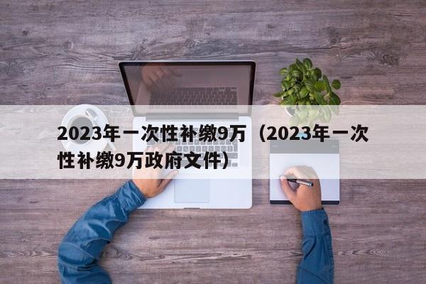 2023年一次性补缴9万（2023年一次性补缴9万政府文件）