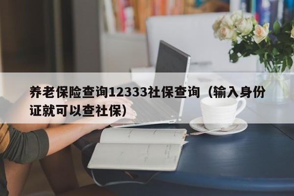 养老保险查询12333社保查询（输入身份证就可以查社保）