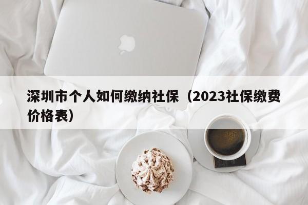 深圳市个人如何缴纳社保（2023社保缴费价格表）