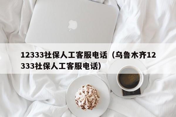 12333社保人工客服电话（乌鲁木齐12333社保人工客服电话）