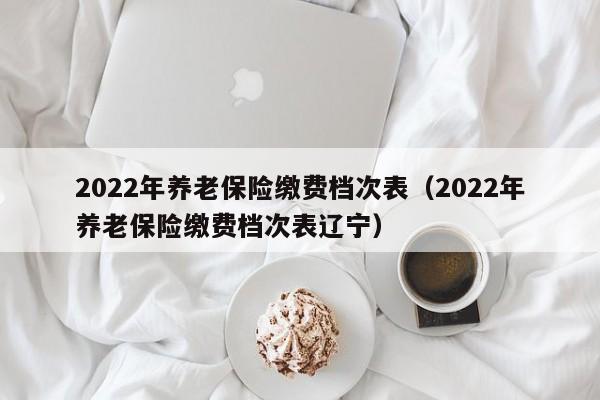 2022年养老保险缴费档次表（2022年养老保险缴费档次表辽宁）