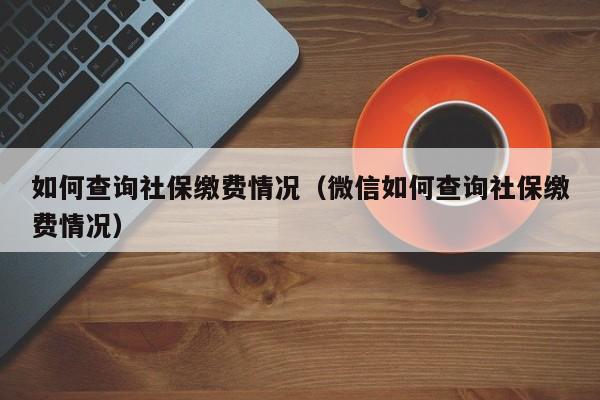 如何查询社保缴费情况（微信如何查询社保缴费情况）