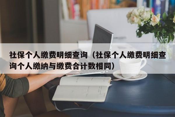 社保个人缴费明细查询（社保个人缴费明细查询个人缴纳与缴费合计数相同）