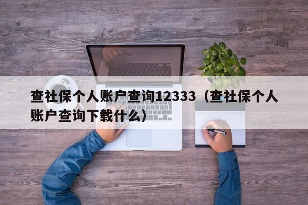 查社保个人账户查询12333（查社保个人账户查询下载什么）