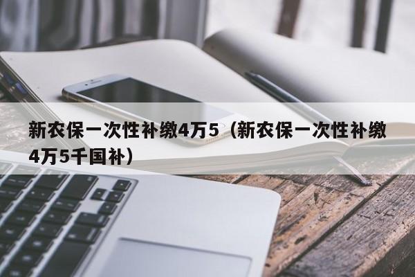 新农保一次性补缴4万5（新农保一次性补缴4万5千国补）