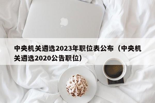 中央机关遴选2023年职位表公布（中央机关遴选2020公告职位）