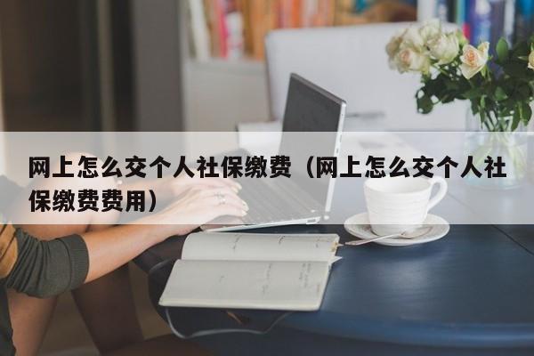 网上怎么交个人社保缴费（网上怎么交个人社保缴费费用）