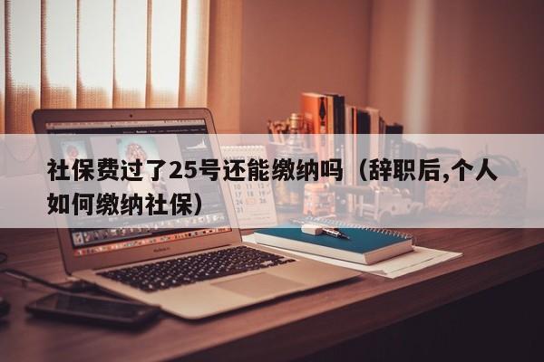 社保费过了25号还能缴纳吗（辞职后,个人如何缴纳社保）