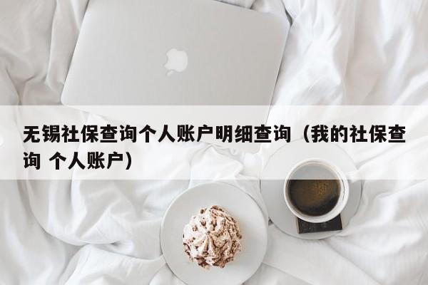 无锡社保查询个人账户明细查询（我的社保查询 个人账户）