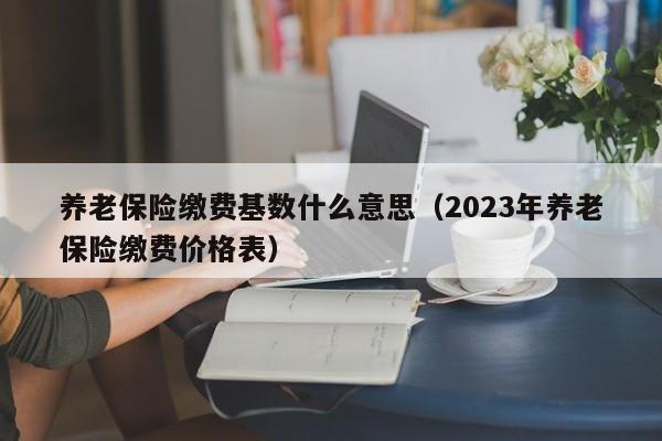 养老保险缴费基数什么意思（2023年养老保险缴费价格表）