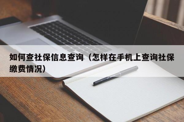 如何查社保信息查询（怎样在手机上查询社保缴费情况）