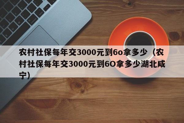 农村社保每年交3000元到6o拿多少（农村社保每年交3000元到6O拿多少湖北咸宁）