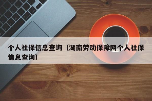 个人社保信息查询（湖南劳动保障网个人社保信息查询）