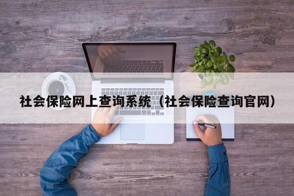 社会保险网上查询系统（社会保险查询官网）