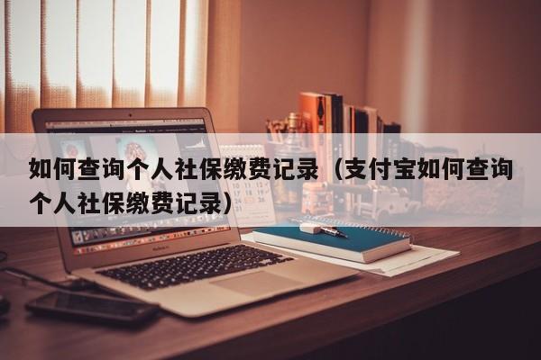 如何查询个人社保缴费记录（支付宝如何查询个人社保缴费记录）