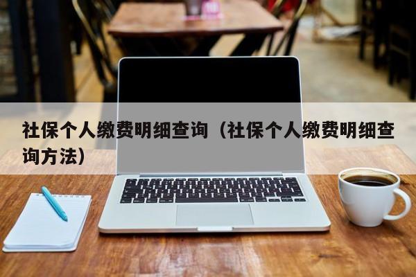 社保个人缴费明细查询（社保个人缴费明细查询方法）