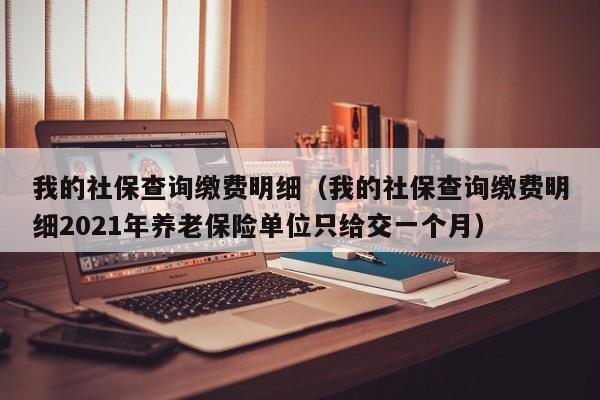 我的社保查询缴费明细（我的社保查询缴费明细2021年养老保险单位只给交一个月）