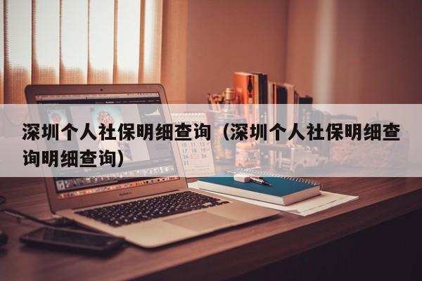 深圳个人社保明细查询（深圳个人社保明细查询明细查询）