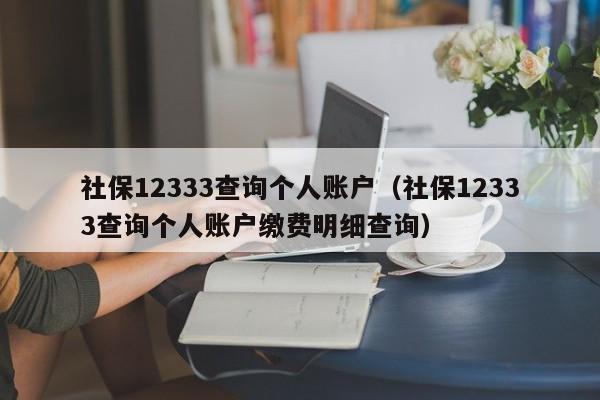 社保12333查询个人账户（社保12333查询个人账户缴费明细查询）