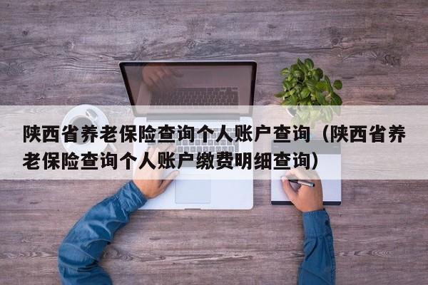 陕西省养老保险查询个人账户查询（陕西省养老保险查询个人账户缴费明细查询）