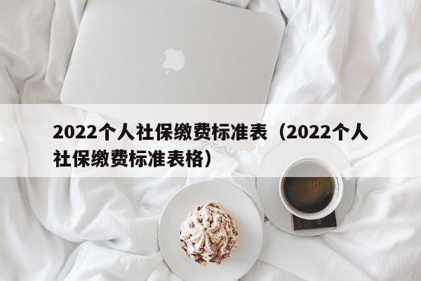 2022个人社保缴费标准表（2022个人社保缴费标准表格）