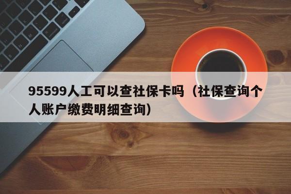 95599人工可以查社保卡吗（社保查询个人账户缴费明细查询）