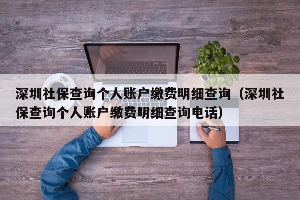 深圳社保查询个人账户缴费明细查询（深圳社保查询个人账户缴费明细查询电话）