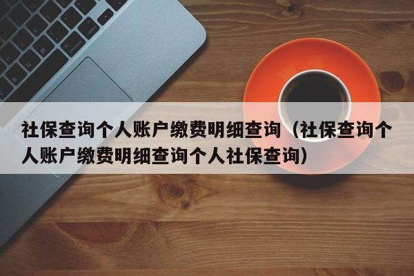 社保查询个人账户缴费明细查询（社保查询个人账户缴费明细查询个人社保查询）