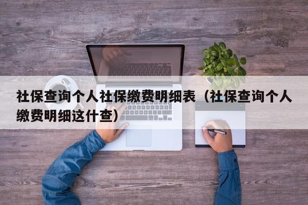 社保查询个人社保缴费明细表（社保查询个人缴费明细这什查）