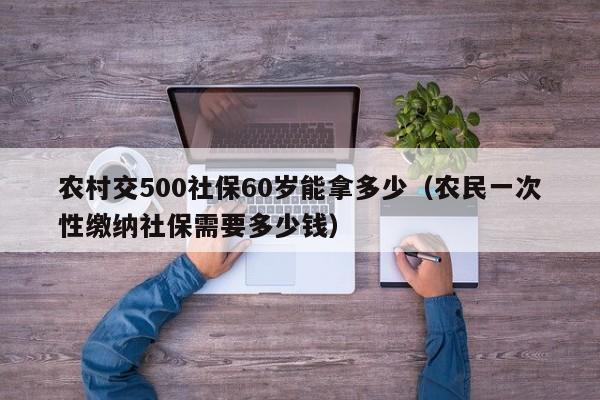 农村交500社保60岁能拿多少（农民一次性缴纳社保需要多少钱）