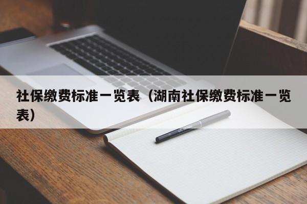 社保缴费标准一览表（湖南社保缴费标准一览表）