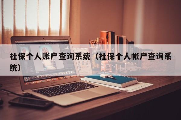 社保个人账户查询系统（社保个人帐户查询系统）