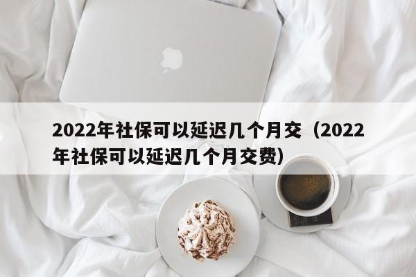 2022年社保可以延迟几个月交（2022年社保可以延迟几个月交费）