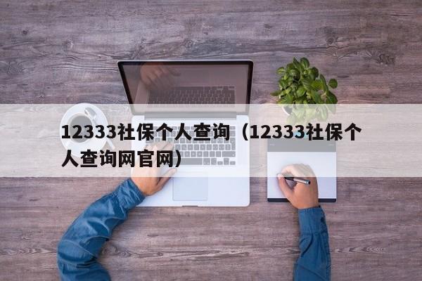 12333社保个人查询（12333社保个人查询网官网）